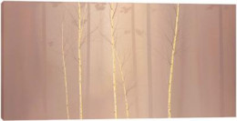 Enchanted Woods II - Box Canvas