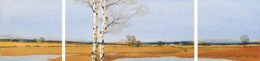 Across The Land (Triptych) - Mounted