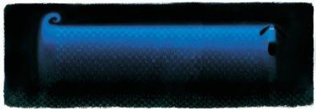 Leopold Longshanks - Canvas - With slip Leopold Longshanks - Canvas - With slip