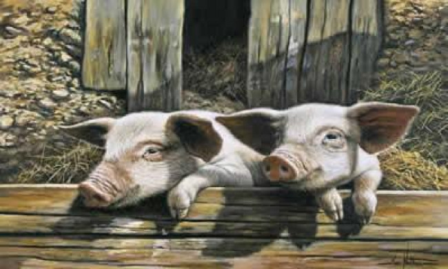 Twins - Pigs - Print