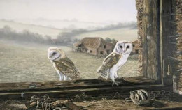 Welcome Return - Barn Owls - Print