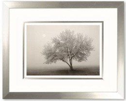 Forever Spring - Framed