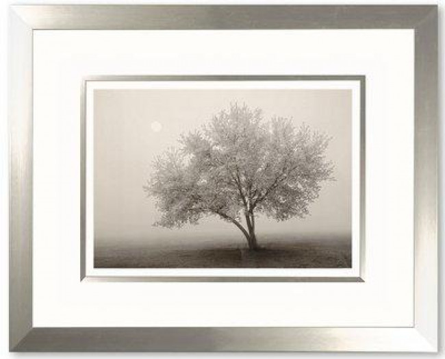 Forever Spring - Framed Forever Spring - Framed