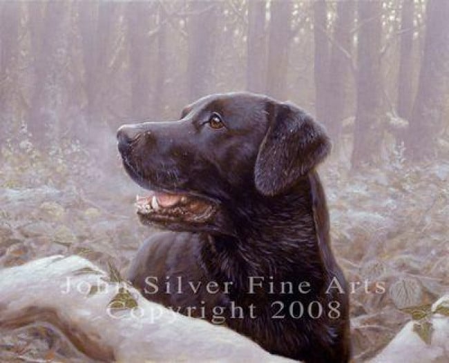 Black Labrador: Frozen Breath - Print Black Labrador: Frozen Breath - Print