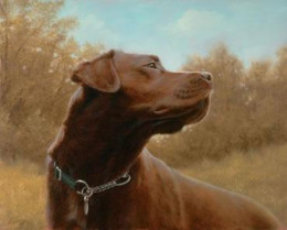 Hot Chocolate - Chocolate Labrador - Dark Wood Framed