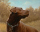 Hot Chocolate - Chocolate Labrador - Dark Wood Framed