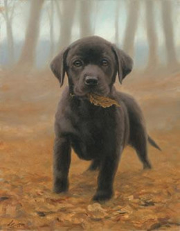 Puppy Leaves - Black Labrador Pup - Print