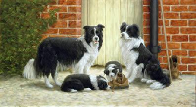 Family Ties - Border Collies - Print