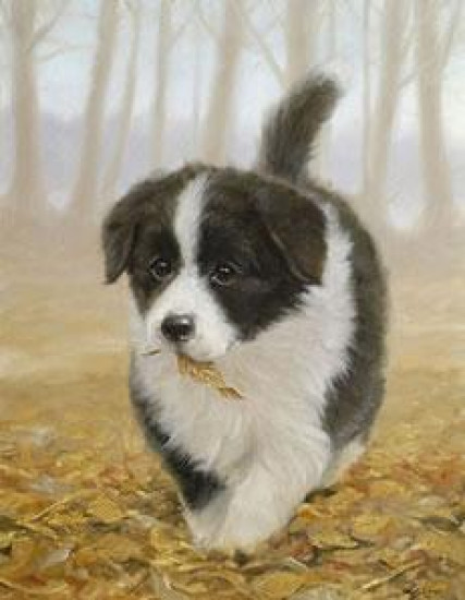 Litterbug! - Border Collie Pup - Print