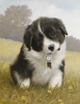 Timeout! - Border Collie Pup - Print