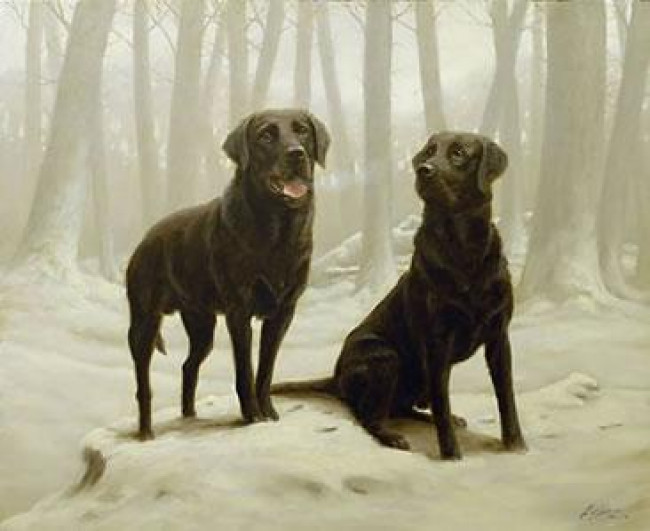 Winter Friends II - Black Labs