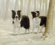 Winter Friends I - Border Collies - Print only