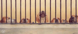 Jailhouse Rock - English Foxhound - Print