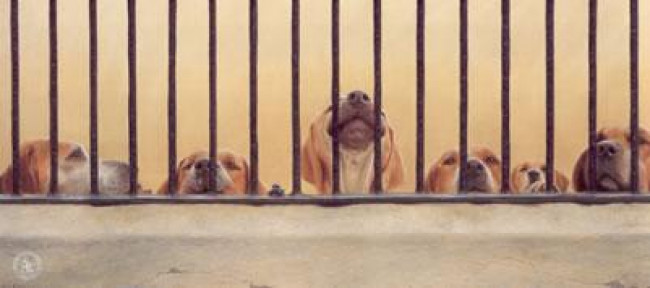 Jailhouse Rock - English Foxhound - Print Jailhouse Rock - English Foxhound - Print