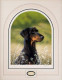 Classic Breeds - Dobermann Pinscher - Mounted