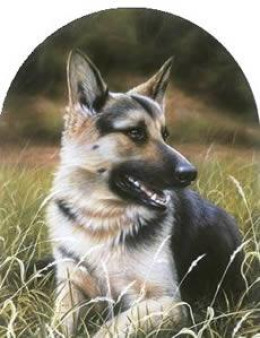 Classic Breeds - German Shepherd - Mounted