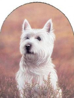 Classic Breeds - Westie - Mounted