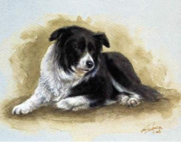 Border Collie Study - Mounted