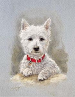 Westie Pup Study - Mounted