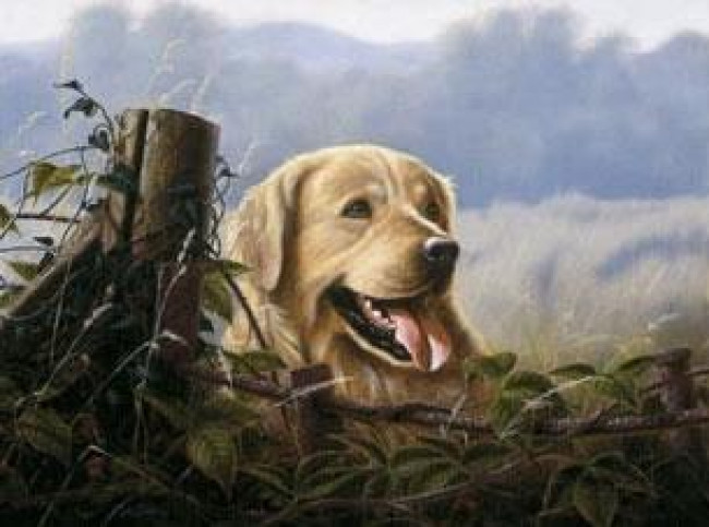 Lifelong Companion - Mounted Lifelong Companion - Mounted