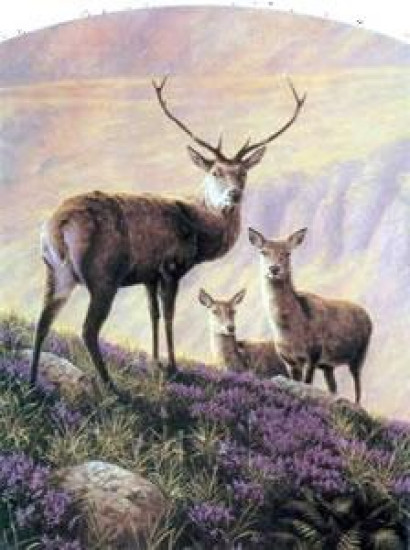 Highland Majesty - Mounted Highland Majesty - Mounted