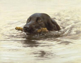 Swimming Lesson - Print