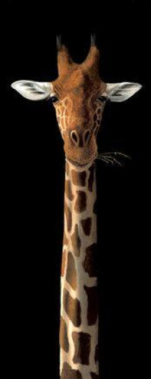 Heres Looking At You - Board Only Heres Looking At You - Board Only