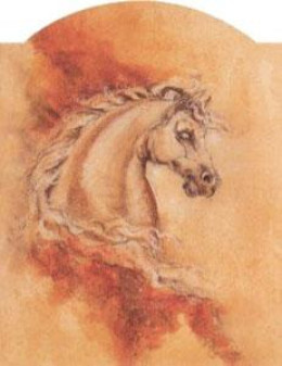 Pegasus I - Mounted