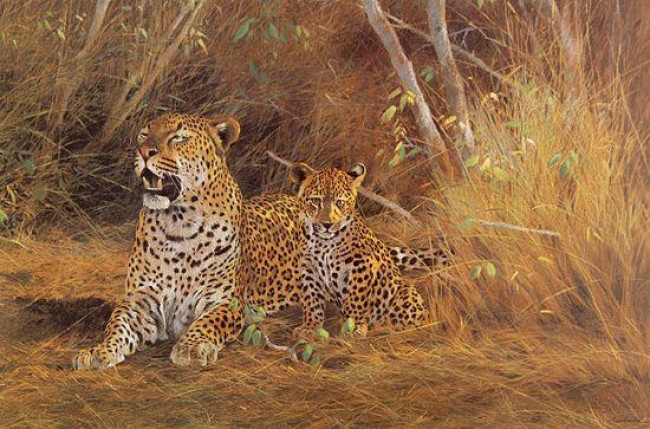 Leopard & Cub