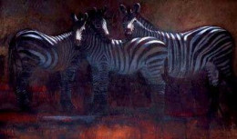 Moon Lighting (Zebra) - Box Canvas