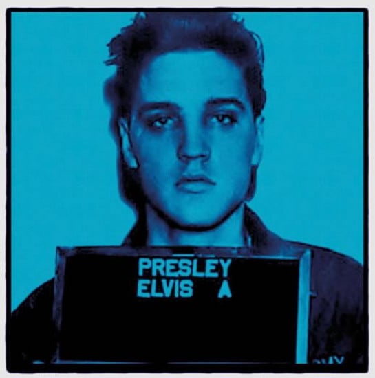 Elvis II - Mounted Elvis II - Mounted