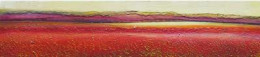 Poppy Field (On Board) 