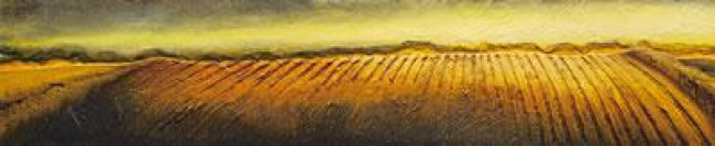 Corn Field (On Board)