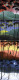 Spring, Summer, Autumn, Winter - Variations Collection (Set Of 4) - Mounted