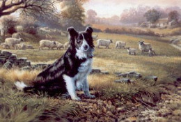 Ready For Work - Border Collie - Mounted