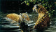 Tiger - Bengali Bathers - On Canvas - Canvas With Slip