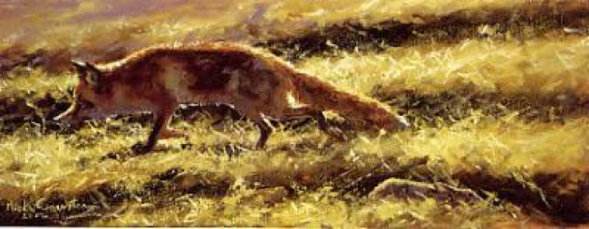 On The Prowl - Print On The Prowl - Print