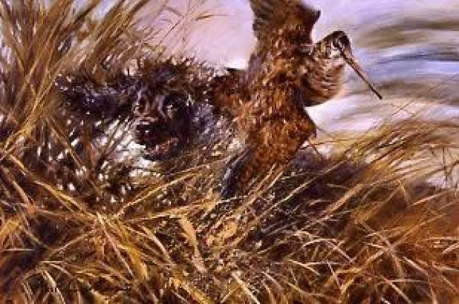 Irish Water Spaniel Flushing - Print Irish Water Spaniel Flushing - Print