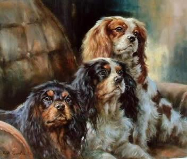 Cavalier King Charles - Print Cavalier King Charles - Print