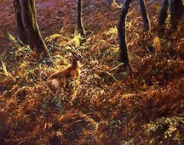 In The Forest - Print