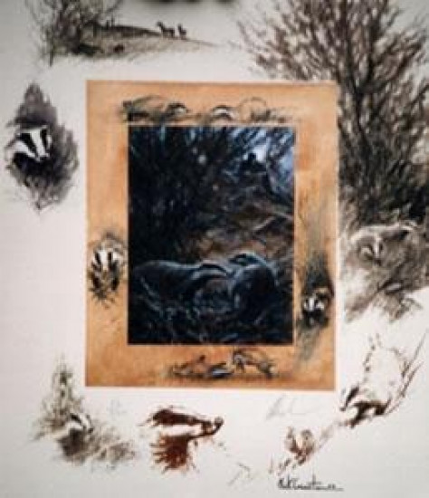 Badger Watching - Print Badger Watching - Print