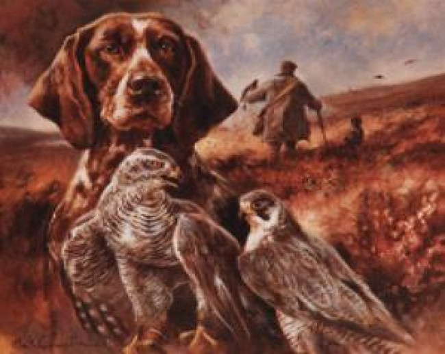 German Shorthaired Pointer & Falcons - Print German Shorthaired Pointer & Falcons - Print