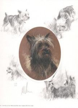 Oval Yorkshire Terrier - Print