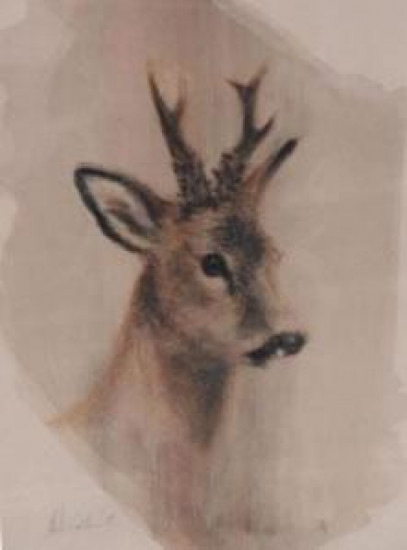 Roebuck - Framed Roebuck - Framed