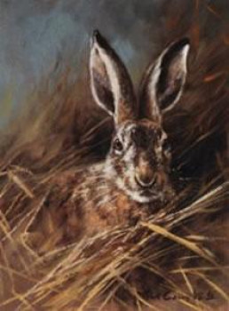 Head Of A Hare - Print