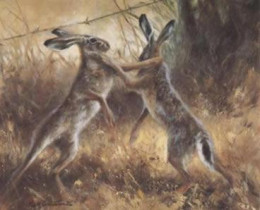 Boxing Hares - Print