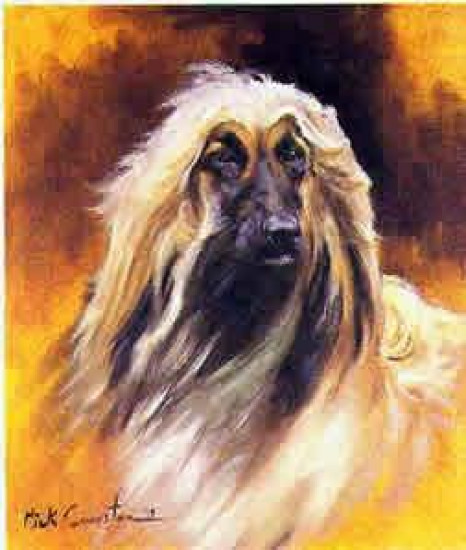 Afghan Head Study - Print Afghan Head Study - Print