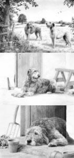 Spinney Lane Set Of 3 - Print Spinney Lane Set Of 3 - Print
