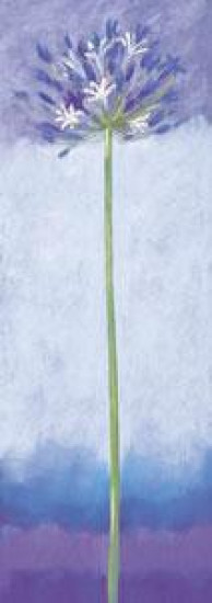 Agapanthus II - Mounted Agapanthus II - Mounted
