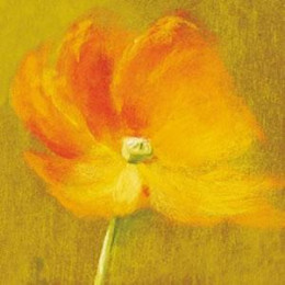 Slice Of Life - Poppy - With slip